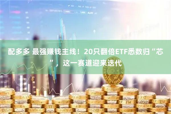 配多多 最强赚钱主线！20只翻倍ETF悉数归“芯”，这一赛道迎来迭代